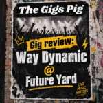 Way Dynamic Gig Review